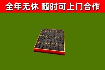 蔡甸回收海参